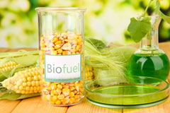 Clyst Honiton biofuel availability